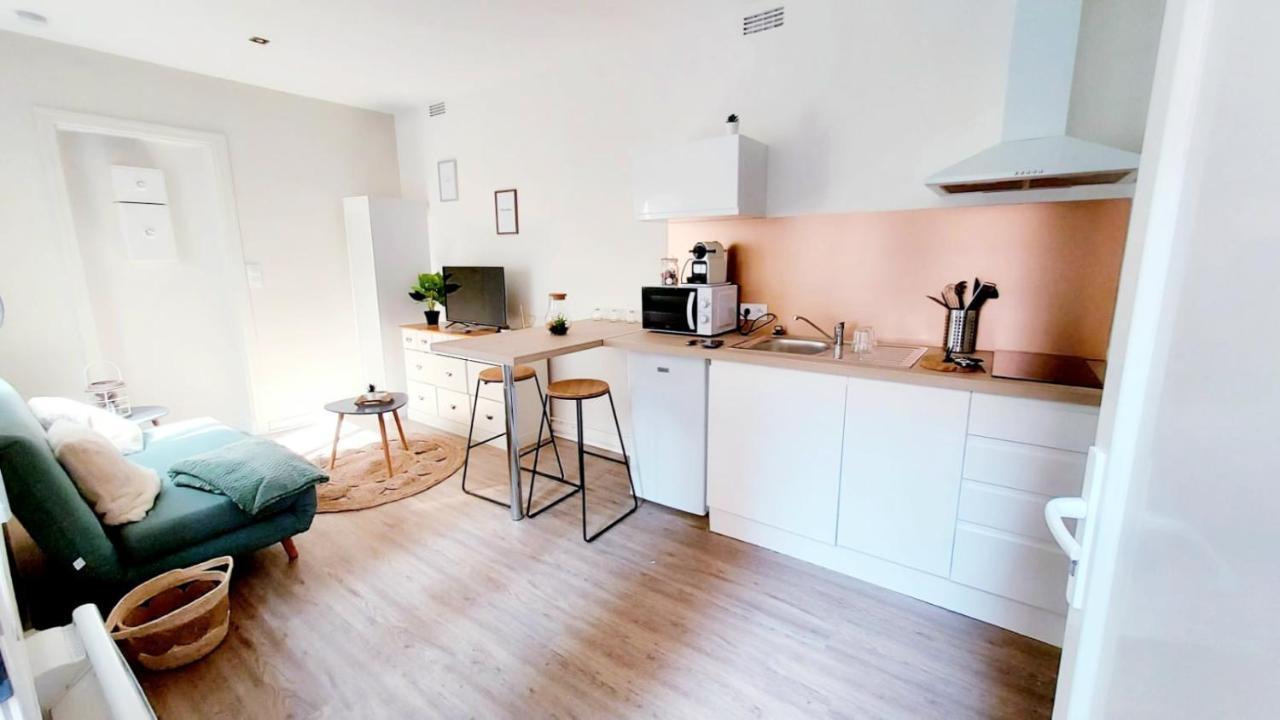 Cosy Yucca - 1Ch - Quartier Des Halles & Parking 波城 外观 照片
